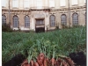 malevichs-vegetable-garden-video-installation-the-ethnography_014_0